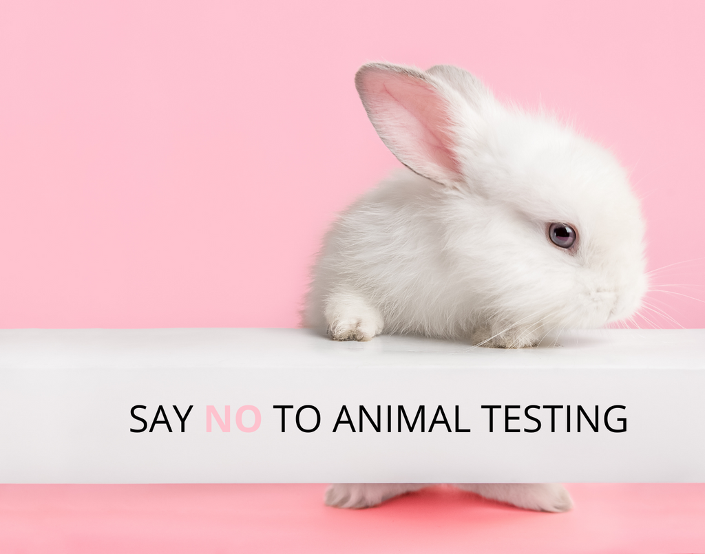 Animal Testing on Consumer Products is Still Common Practice: Are You Unknowingly Supporting this Trade?