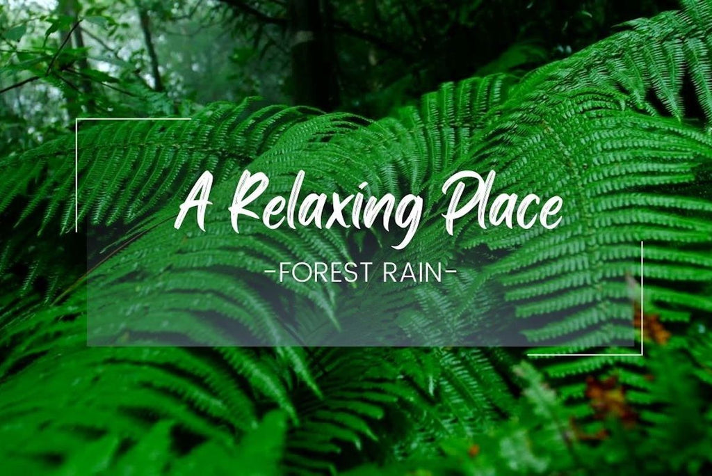 A Relaxing Place: Rainforest Rain