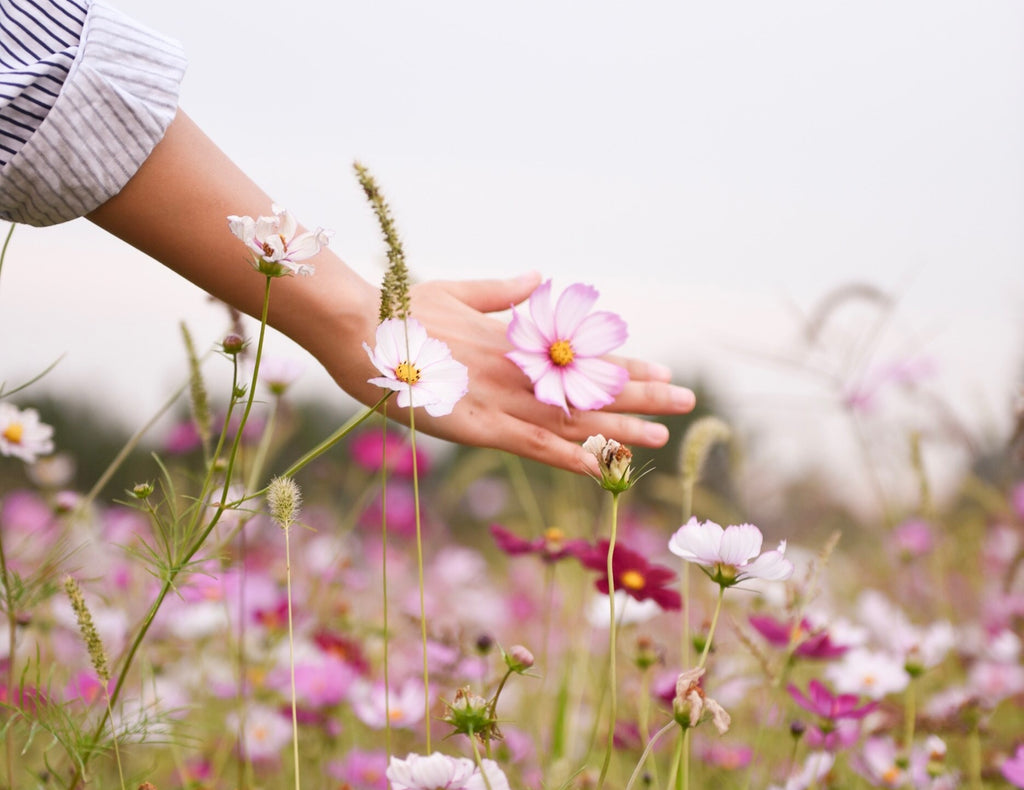 Spring Renewal: A Self-Care Guide for the Season of Rejuvenation