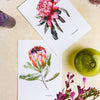 Australian Botanicals Watercolour Print [A4]
